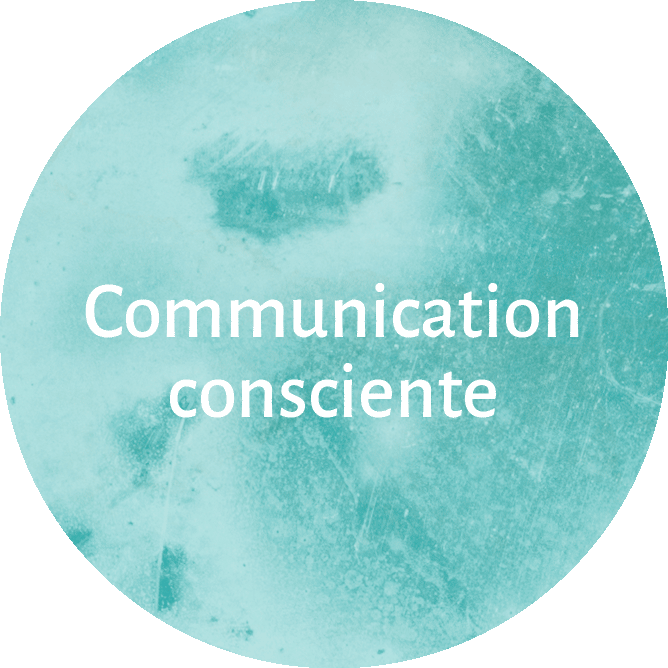 communication consciente-inemeta-besancon-natalie-grosjean