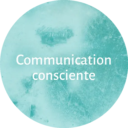 communication consciente-inemeta-besancon-natalie-grosjean