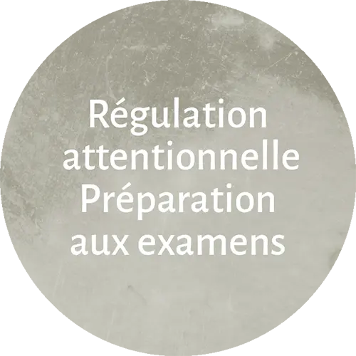 régulation attentionnelle-préparation-examen-inemeta-natalie-grosjean