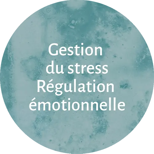 gestion-stress-inemeta-besancon-natalie-grosjean